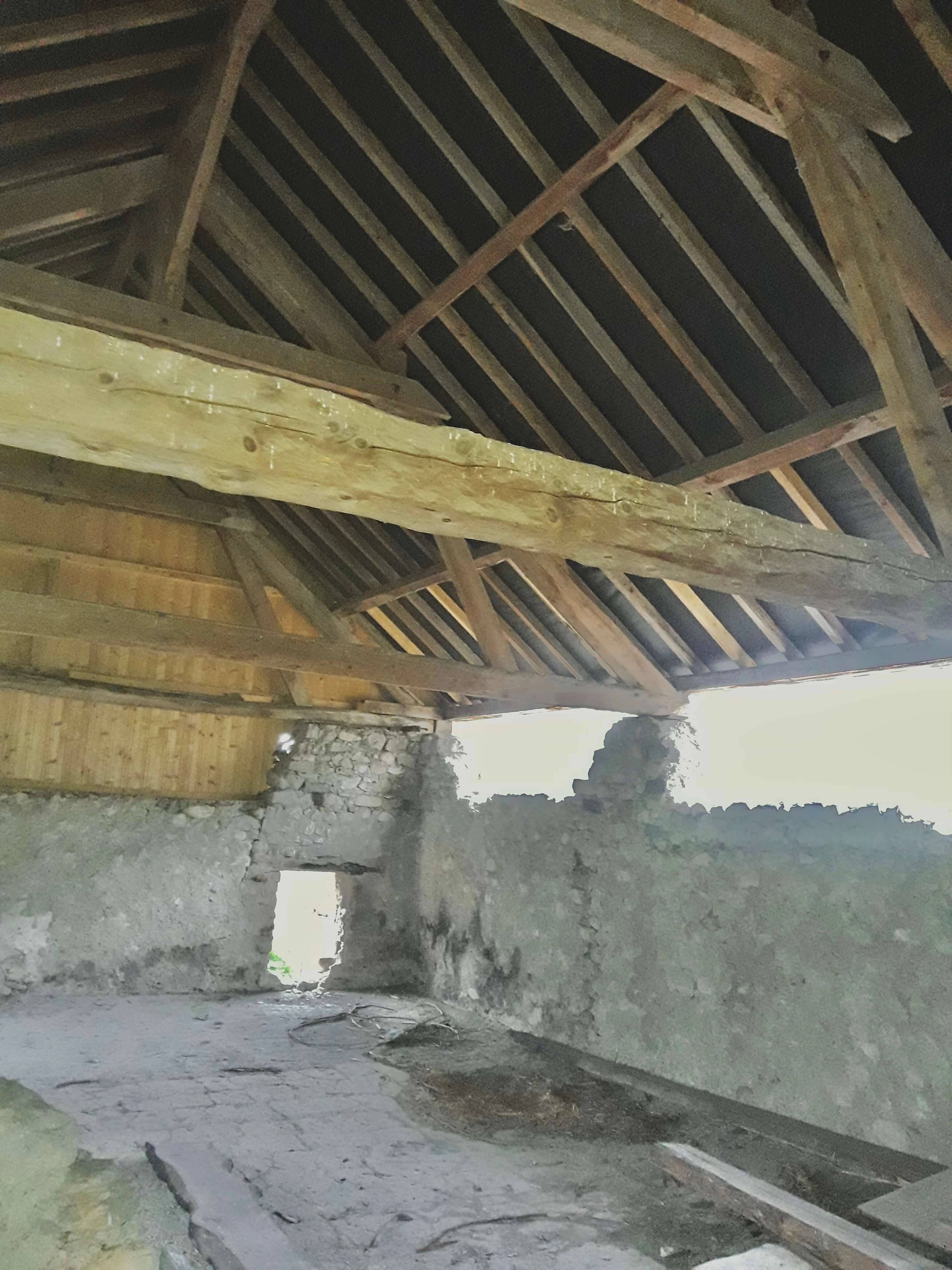 traitement insecticide,rénovation des bois,fongicide traitement insecticide,rénovation des bois,fongicide